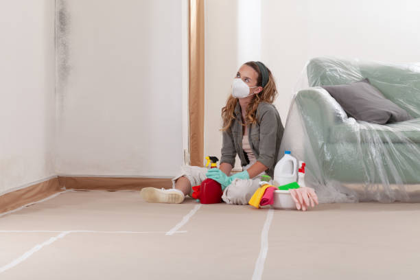 Reliable Mold Remediation contractor in Marion, TX by WQB Mold Removal